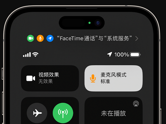 苍南苹果授权维修网点分享iPhone在通话时让你的声音更清晰 