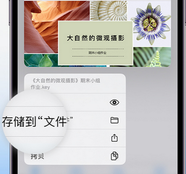 苍南apple维修中心分享iPhone文件应用中存储和找到下载文件