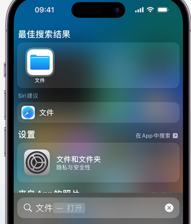 苍南apple维修中心分享iPhone文件应用中存储和找到下载文件 