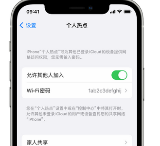 苍南apple服务站点分享iPhone上个人热点丢失了怎么办 