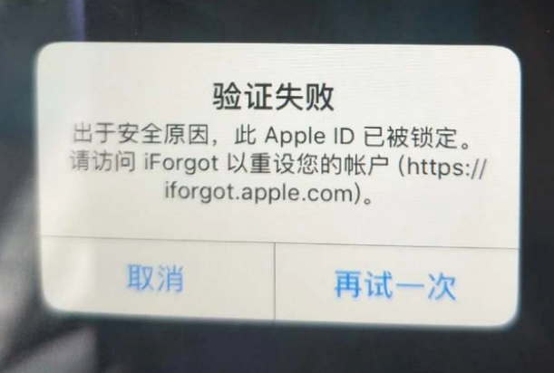 苍南iPhone维修分享iPhone上正常登录或使用AppleID怎么办 