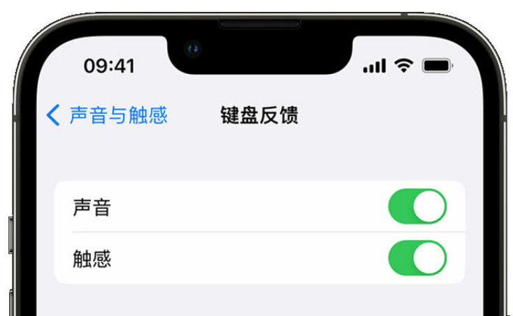 苍南苹果手机维修分享iPhone 14触感键盘使用方法 