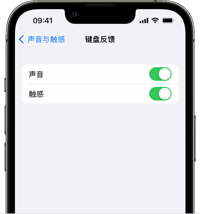 苍南苹果14维修店分享如何在 iPhone 14 机型中使用触感键盘 