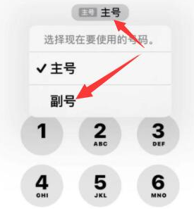 苍南苹果14维修店分享iPhone 14 Pro Max使用副卡打电话的方法 