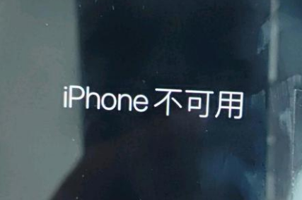 苍南苹果服务网点分享锁屏界面显示“iPhone 不可用”如何解决 