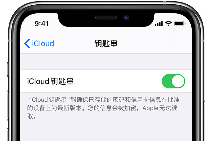 苍南苹果手机维修分享在 iPhone 上开启 iCloud 钥匙串之后会储存哪些信息 