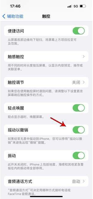 苍南苹果手机维修分享iPhone手机如何设置摇一摇删除文字 