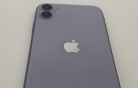 苍南苹果11系统维修分享iPhone11手机系统崩溃无法开机如何解决