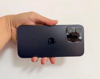 苍南苹果维修点分享iPhone 14 Pro Max发烫多重诱因剖析 